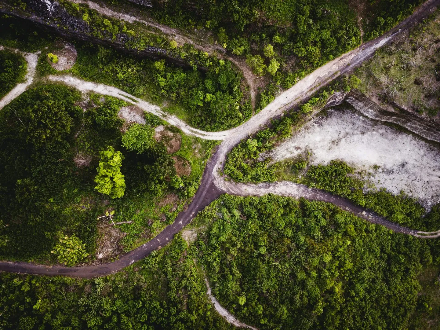 Aerial view of forest paths intersection